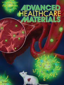 Cover Picture in Advanced Healthcare Materials - Kaps et al. 2015