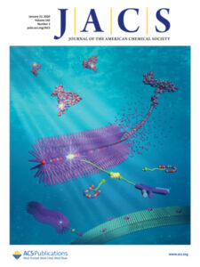 Cover picture in JACS - Chen et al. 2020