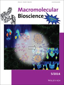 Back cover picture in Macromolecular Bioscience - Schieferstein et al. 2014