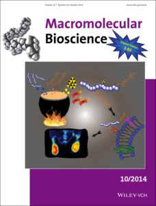 Back cover picture in Macromolecular Bioscience - Schieferstein et al. 2014