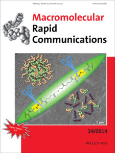 Back cover in Macromolecular Rapid Communications - Nuhn et al. 2014